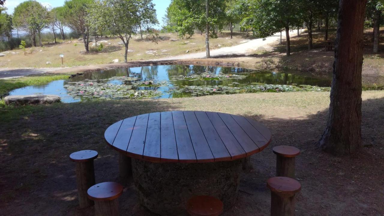 Quinta Da Fonte - Agroturismo バホセラス エクステリア 写真
