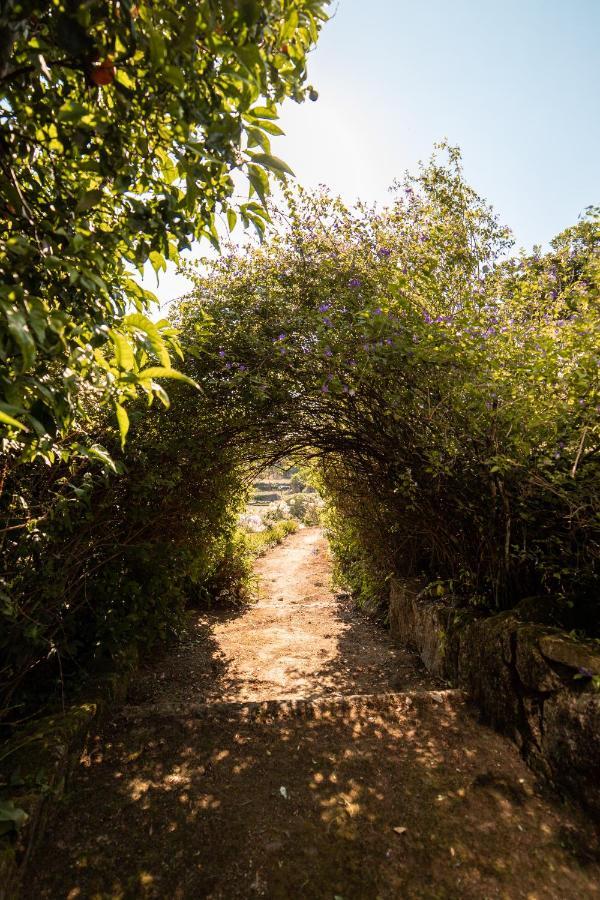 Quinta Da Fonte - Agroturismo バホセラス エクステリア 写真